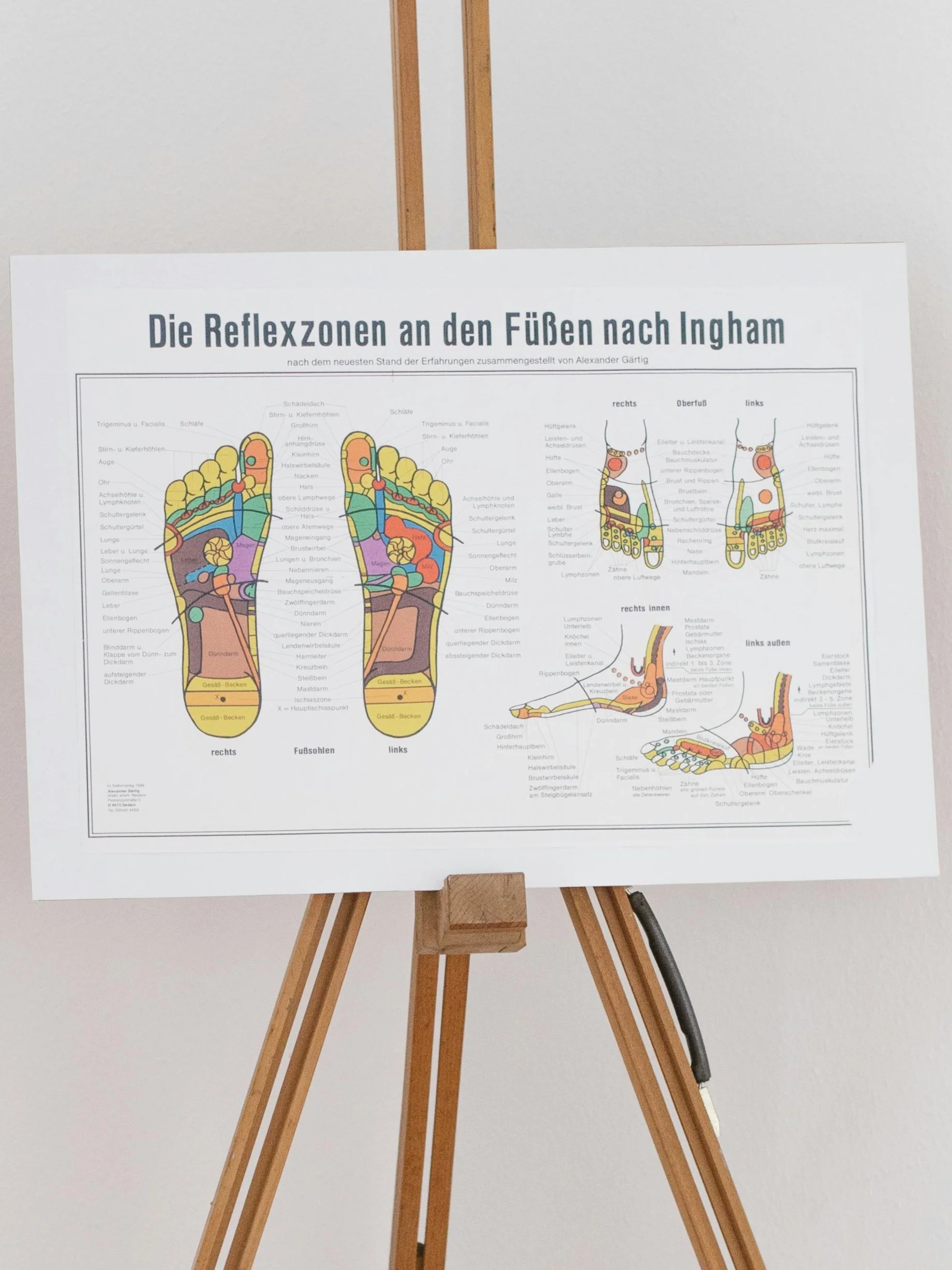 Carte de réflexologie plantaire sur un support en bois, illustrant les zones réflexes